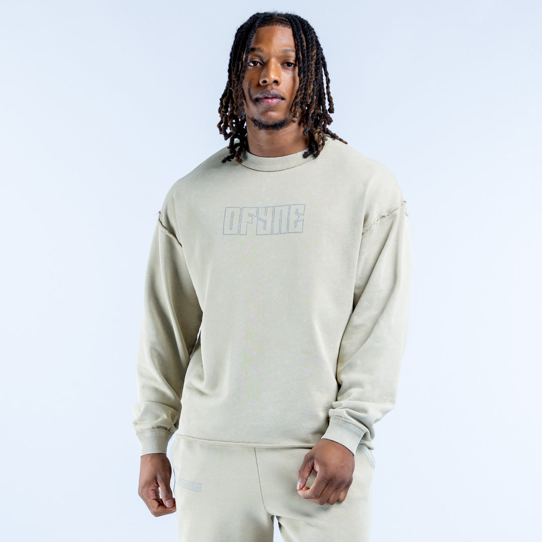 Washed light-green crewneck sweatshirt with front logo graphic and ribbed cuffs
