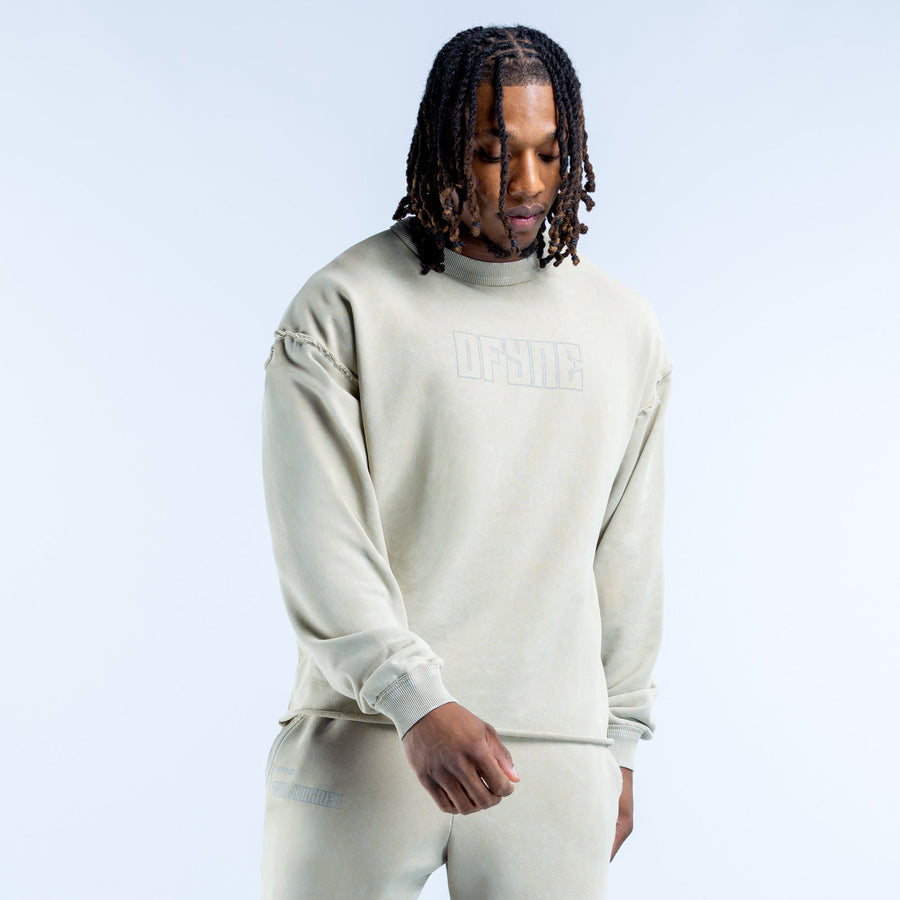 Washed light-green crewneck sweatshirt with front logo graphic and long sleeves