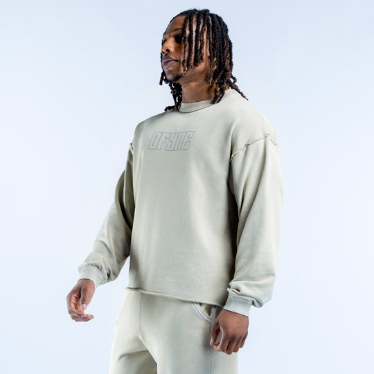 Washed light-green crewneck sweatshirt in light fabric with front logo graphic